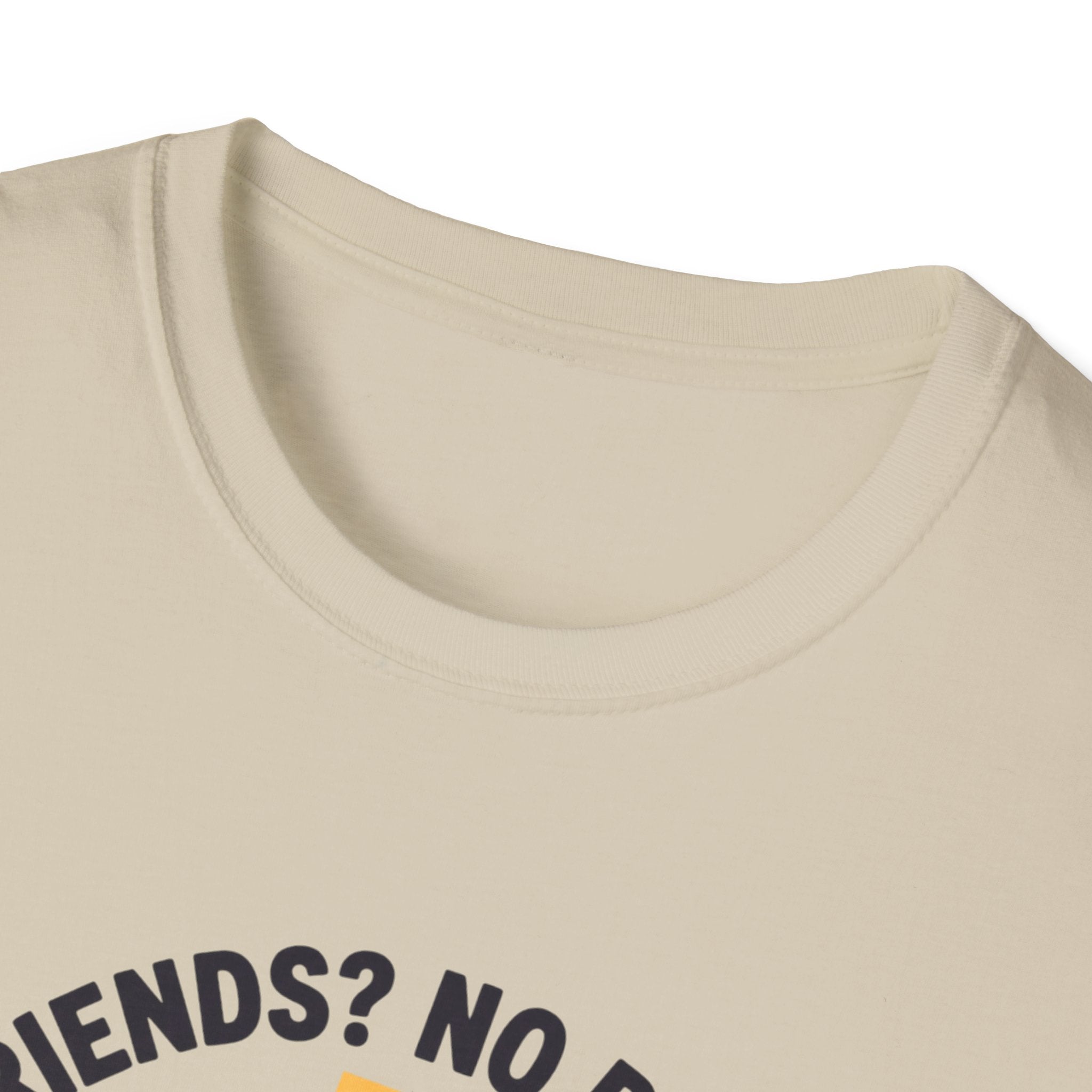 No Friends No Problem T-Shirt