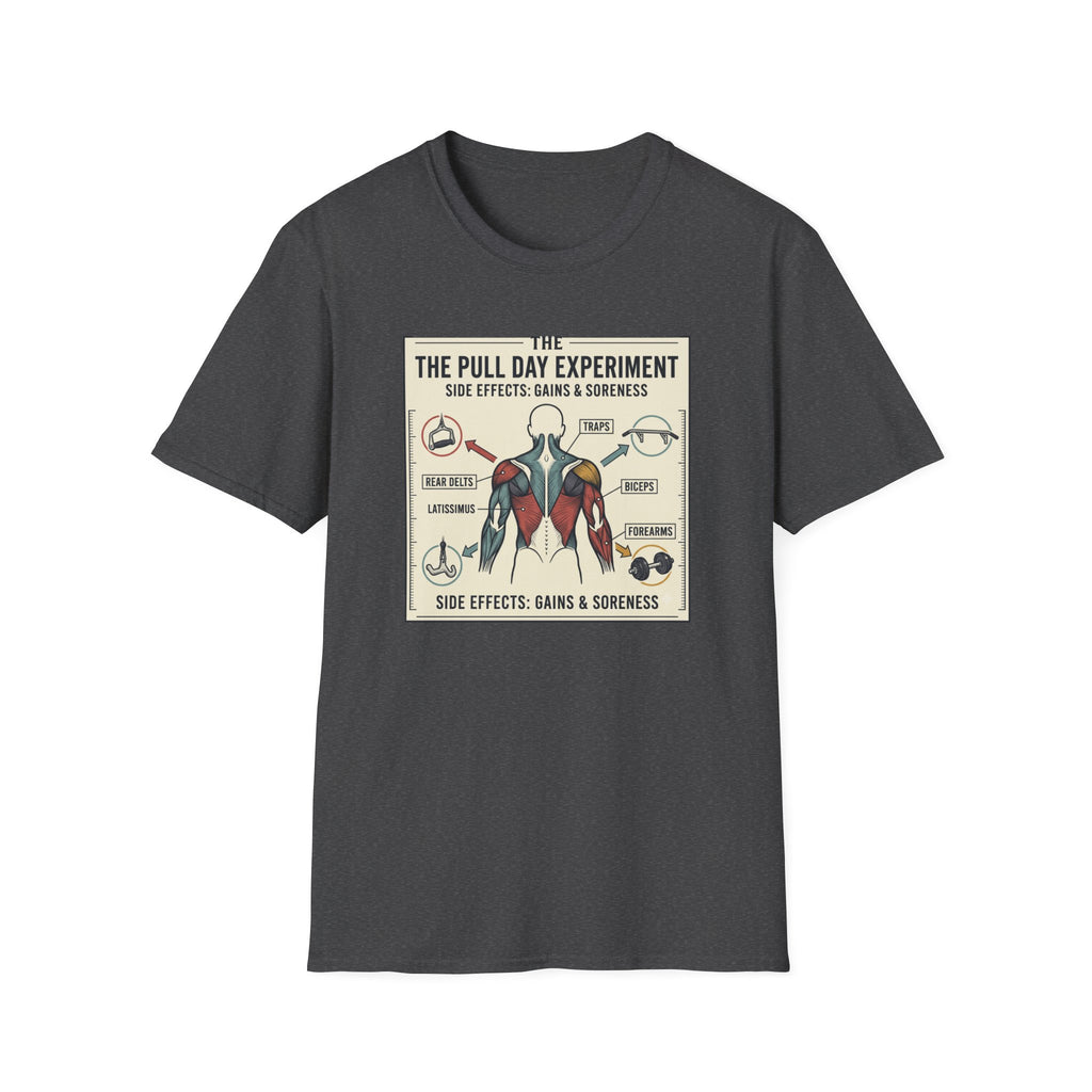 The pull day experiment T-Shirt