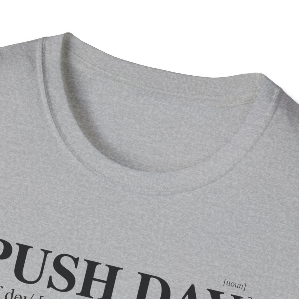 Push day - dictionary meaning T-Shirt