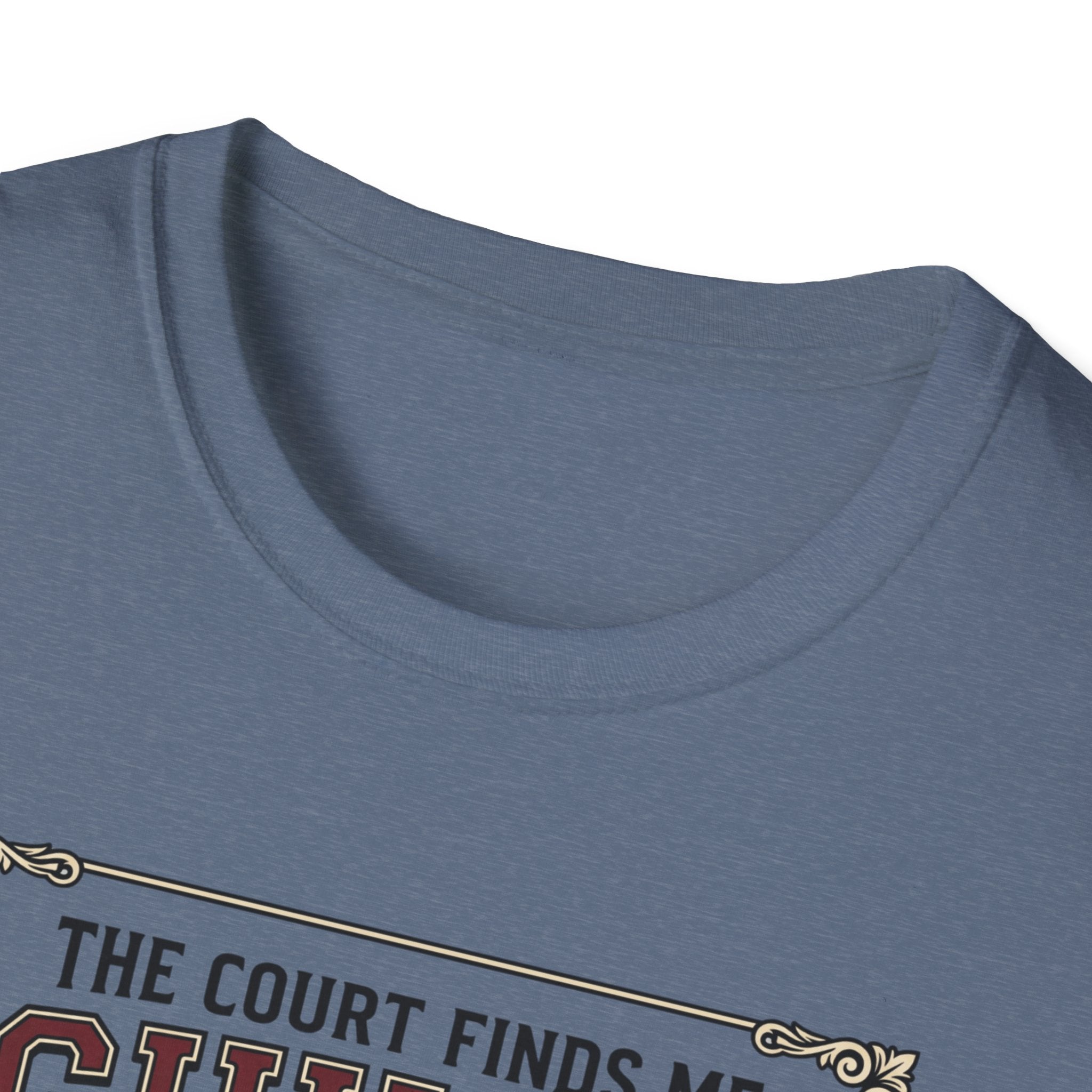The court finds me guilty of great workout T-Shirt