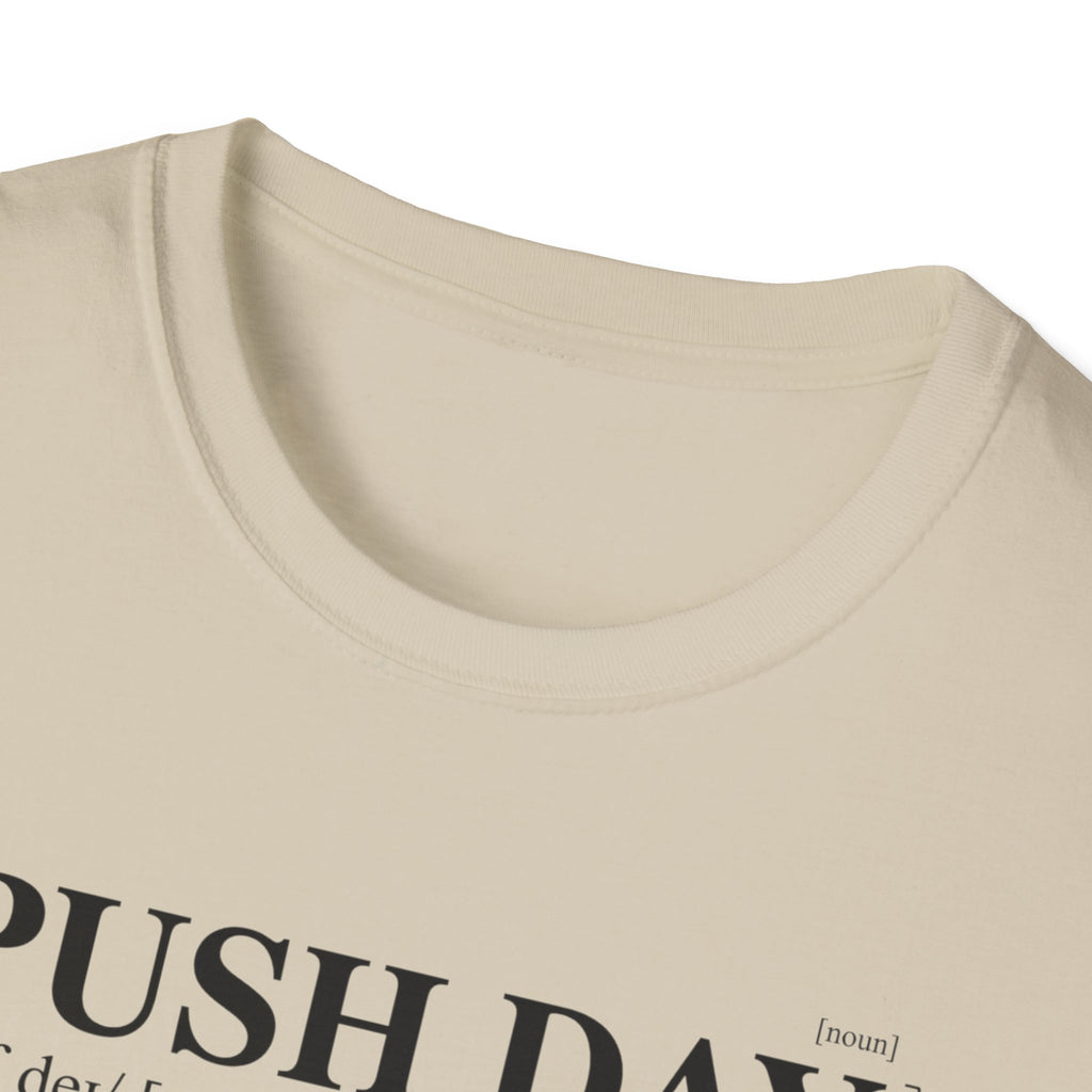 Push day - dictionary meaning T-Shirt