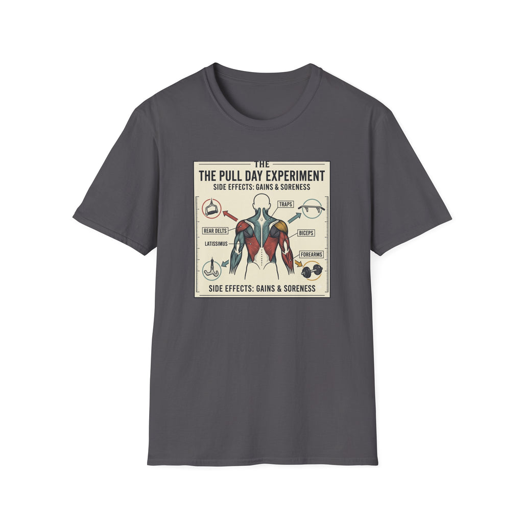 The pull day experiment T-Shirt