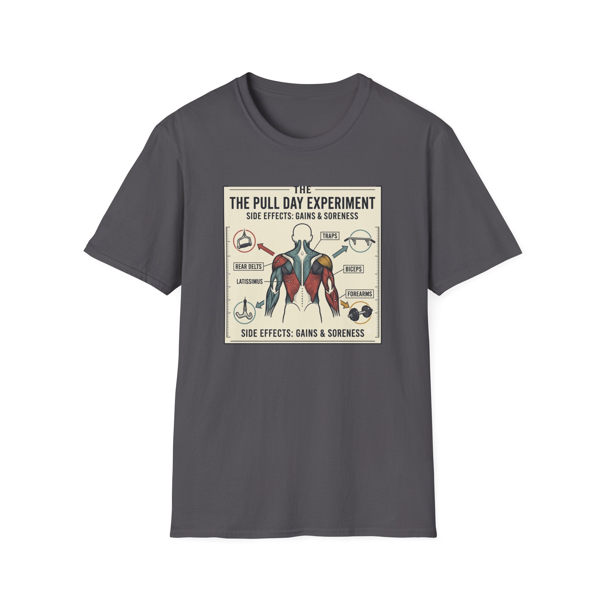 The pull day experiment T-Shirt